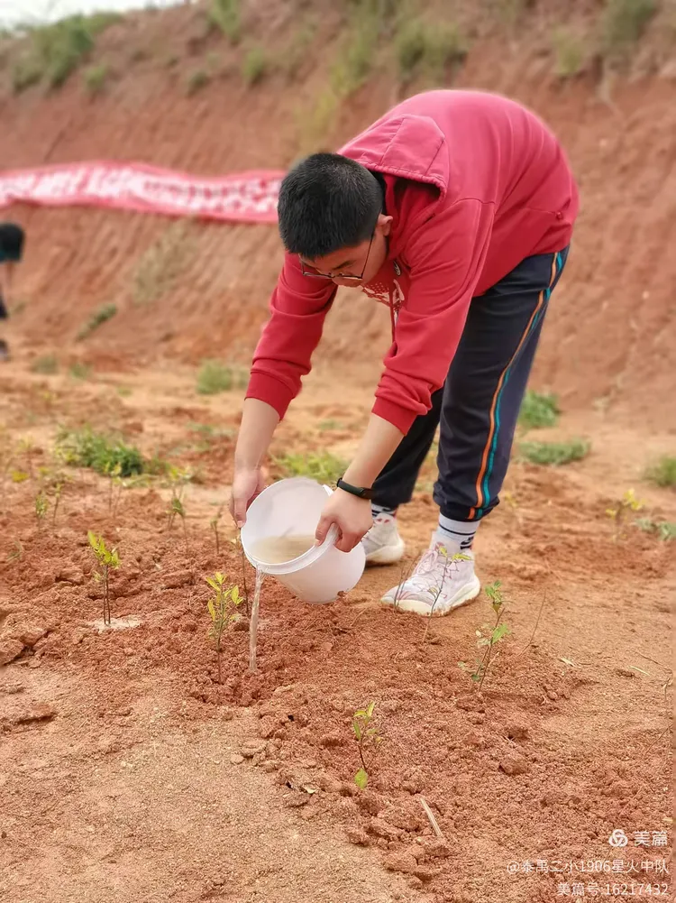 播种希望 向阳生长